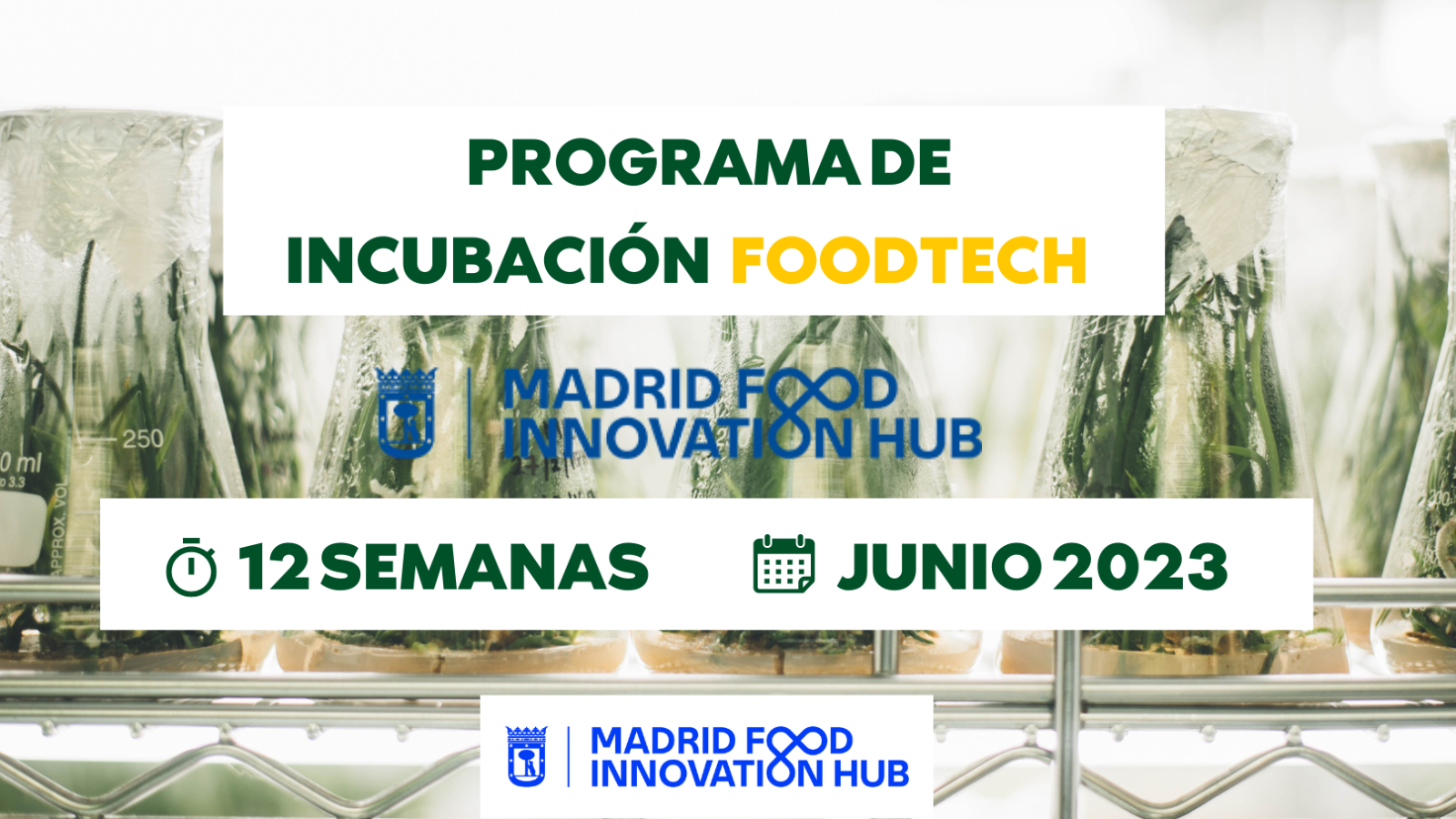 II PROGRAMA DE INCUBACIÓN FoodTech